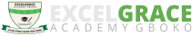 ExcelGrace